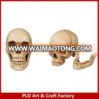 Factory custom made resin skull head figure art minds resin crafts